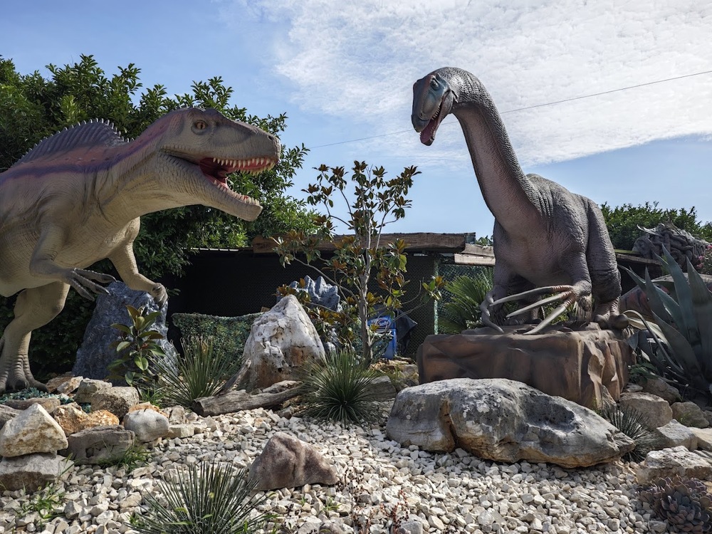 Dag 6 Poréc Kroatië 2026 3 3