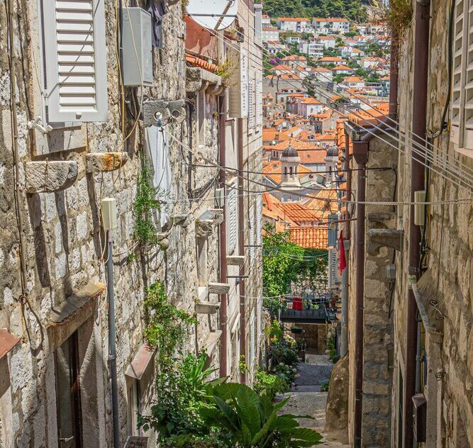 ilse DzVRPLs5dV8 unsplash (1)