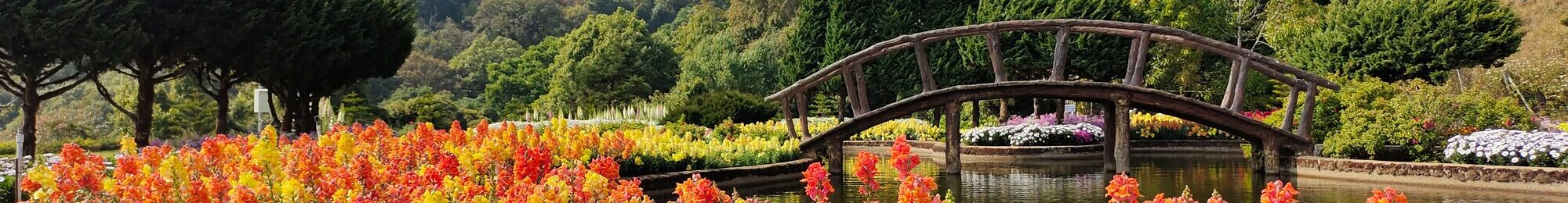 mike anderson ytsYMo1ciWo unsplash (1)