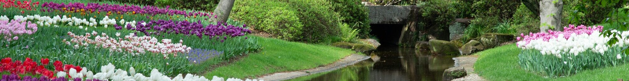 norikio yamamoto 7pjnQXsjqw0 unsplash (1)